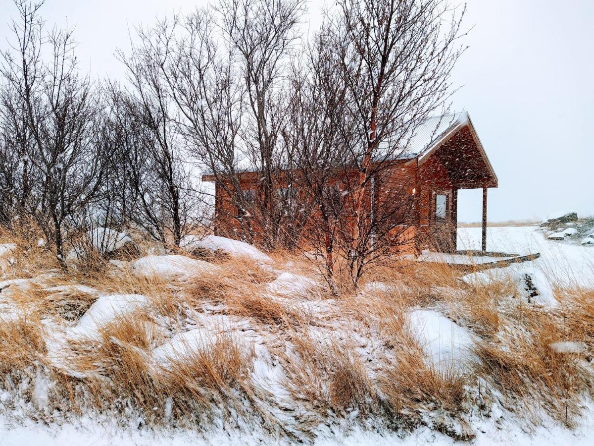 Hestasport Cottages Varmahlíð Zewnętrze zdjęcie